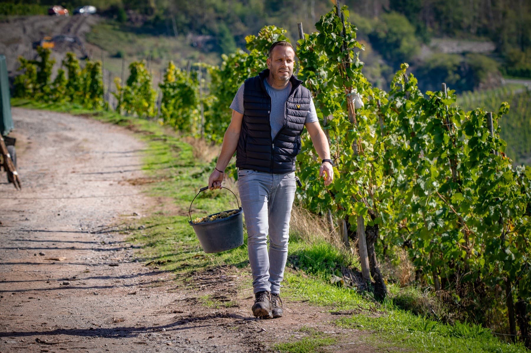 Die Mosel Weingut Hüls