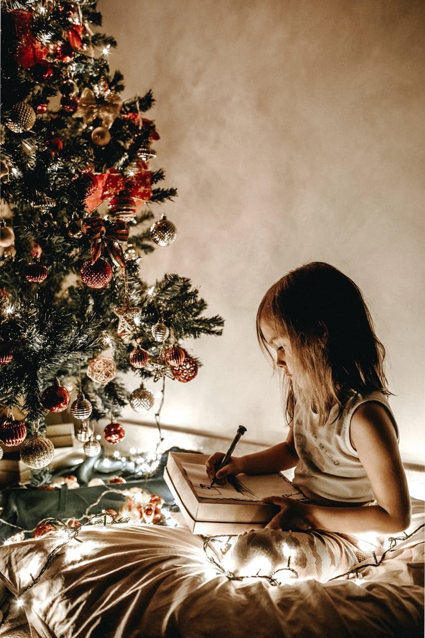 Weihnachtsmenü Mittag